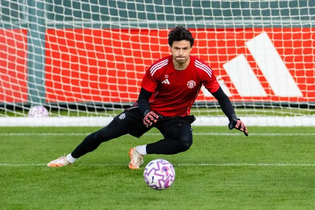 img, 适应竞争出 img, 适应竞争出